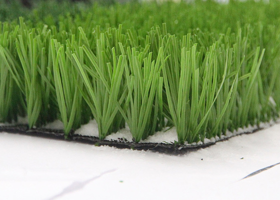 چین تولید کننده چمن مصنوعی سبز نخ مونوفیل پلی اتیلن برای ورزش , زمین فوتبال چمن مصنوعی تامین کننده