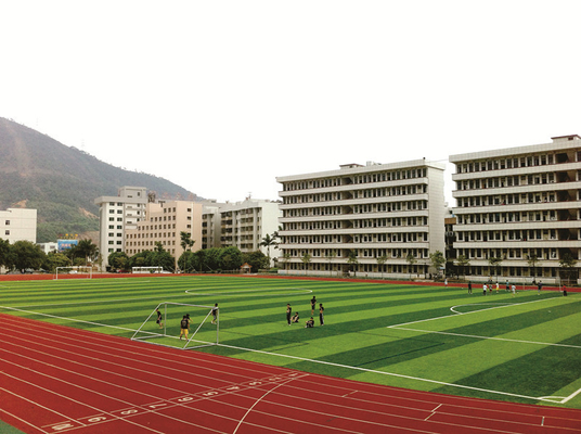 چین باغ ها / تشک های چمن مصنوعی چمن مصنوعی فوتبال ضد پیری سازگار با محیط زیست تامین کننده