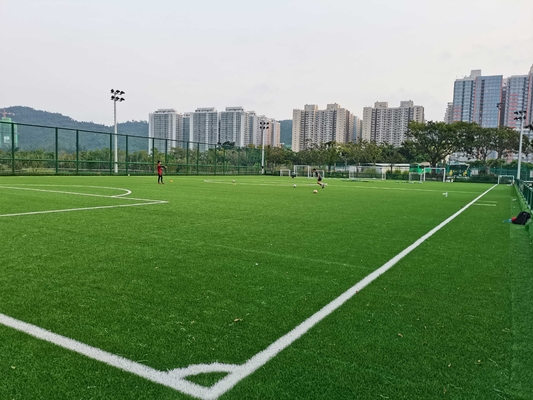 چین چمن مصنوعی فوتبال حرفه ای Cesped با قیمت کارخانه 55mm تامین کننده