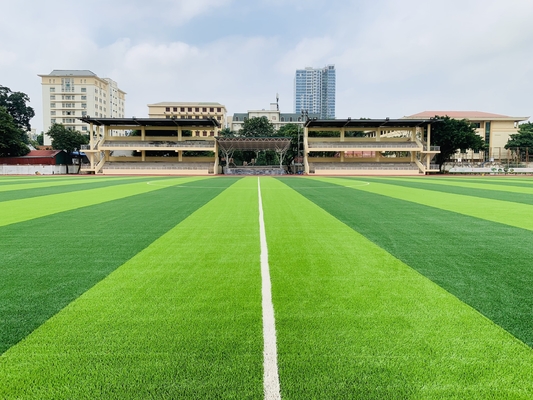 چین کفپوش ورزشی چمن مصنوعی 55 میلی متری برای زمین فوتبال فوتبال تامین کننده