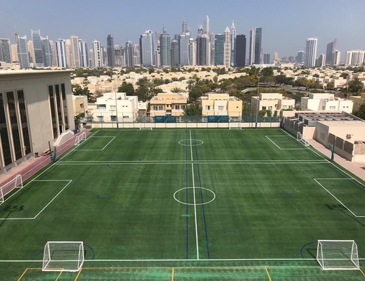 چین کارخانه چمن مصنوعی چمن مصنوعی 30 میلی متری را برای استادیوم فوتبال تایید کرد تامین کننده