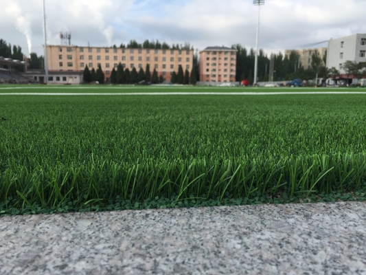 چین چمن مصنوعی پشتیبان بافته شده برای زمین فوتبال تامین کننده