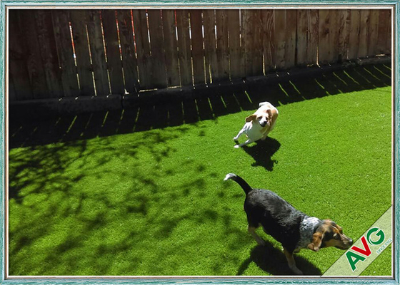 چین چمن مصنوعی حیوان خانگی مقاوم در برابر اشعه ماوراء بنفش 35 میلی متری / چمن مصنوعی برای سگ بازی تامین کننده
