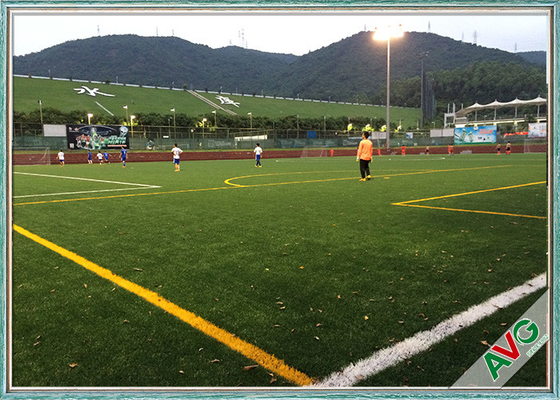 چین چمن مصنوعی فوتبال مقاوم در برابر اشعه ماوراء بنفش با عمر طولانی در تمام شرایط آب و هوایی استاندارد فیفا تامین کننده