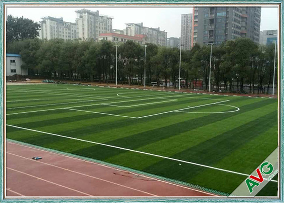 چین PE نرم ارتجاعی برگشت خوب چمن مصنوعی فوتبال مقاومت عالی در برابر اشعه ماوراء بنفش تامین کننده