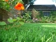 چمن مصنوعی باغ قابل بازیافت سبز برای دکوراسیون، چمن مصنوعی خانه تامین کننده