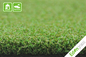 قرار دادن فرش هاکی سبز چمن مصنوعی چمن مصنوعی چمن هاکی چمن Gazon Artificiel تامین کننده