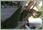 محافظت کامل از پوست فرش چمن تقلبی در فضای باز برای باغ / محوطه سازی تامین کننده
