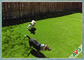 چمن مصنوعی حیوان خانگی مقاوم در برابر اشعه ماوراء بنفش 35 میلی متری / چمن مصنوعی برای سگ بازی تامین کننده
