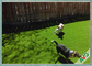 چمن مصنوعی حیوان خانگی مقاوم در برابر اشعه ماوراء بنفش 35 میلی متری / چمن مصنوعی برای سگ بازی تامین کننده