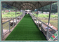 چمن مصنوعی سبزینگ شهری بادوام برای چمن مصنوعی با قیمت ارزان تامین کننده