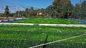 چمن مصنوعی سبز 50 میلی متری مقاوم در برابر اشعه ماوراء بنفش برای زمین فوتبال تامین کننده