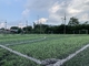 رول چمن مصنوعی فوتبال مونوفیلامنت عرض 2.0 متر 30 نیوتن تامین کننده