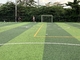 چمن مصنوعی فوتبال مونوفیلامنت 171 گرم بر متر مربع 6 رشته تامین کننده